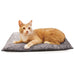 Amazin' Kitty Pad, 3 - pack - Jeffers - Cat Supplies > Cat Beds