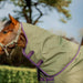 AMIGO Hero Ripstop Plus Medium Weight Turnout Blanket - Jeffers - Horse Supplies > Horse Blankets & Sheets