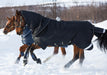 Amigo Super Bravo Plus Medium Horse Turnout Blanket - Jeffers - Horse Supplies > Horse Blankets & Sheets