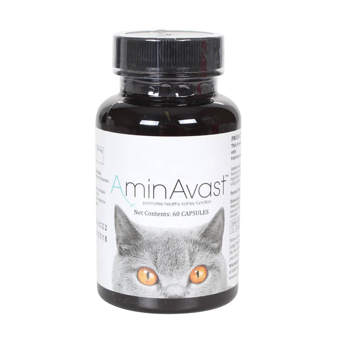 AminAvast for Cats, 60 Capsules - Jeffers - Animal Health & Wellness > Vitamins & Supplements