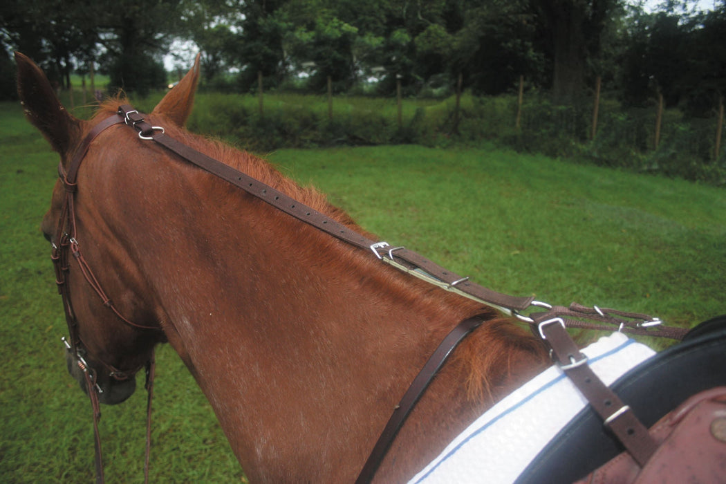 Anti - Grazing Strap - Jeffers - Horse Supplies > Horse Supplies