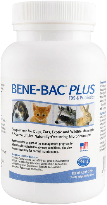 Bene - Bac Plus - Jeffers - Animal Health & Wellness > Vitamins & Supplements