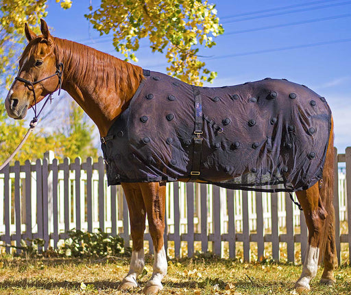 BeneFab Rejuvenate SmartScrim, Black - Jeffers - Horse Supplies > Horse Supplies