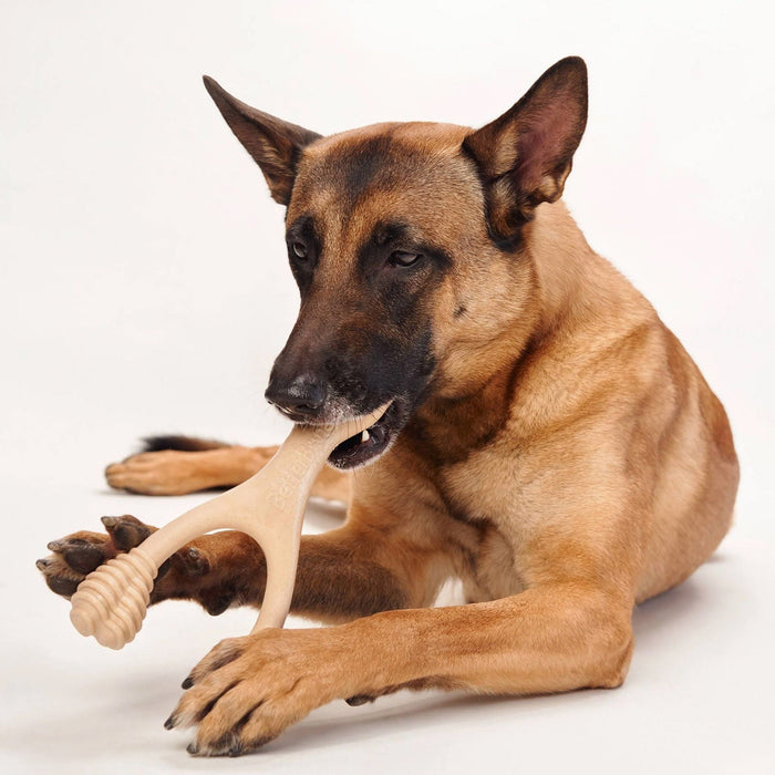 Betterbone Hard, Beef - Jeffers - Dog Supplies > Dog Toys