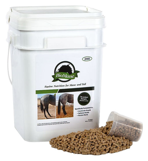 BioMane Equine Pellets - Jeffers - Animal Health & Wellness > Vitamins & Supplements