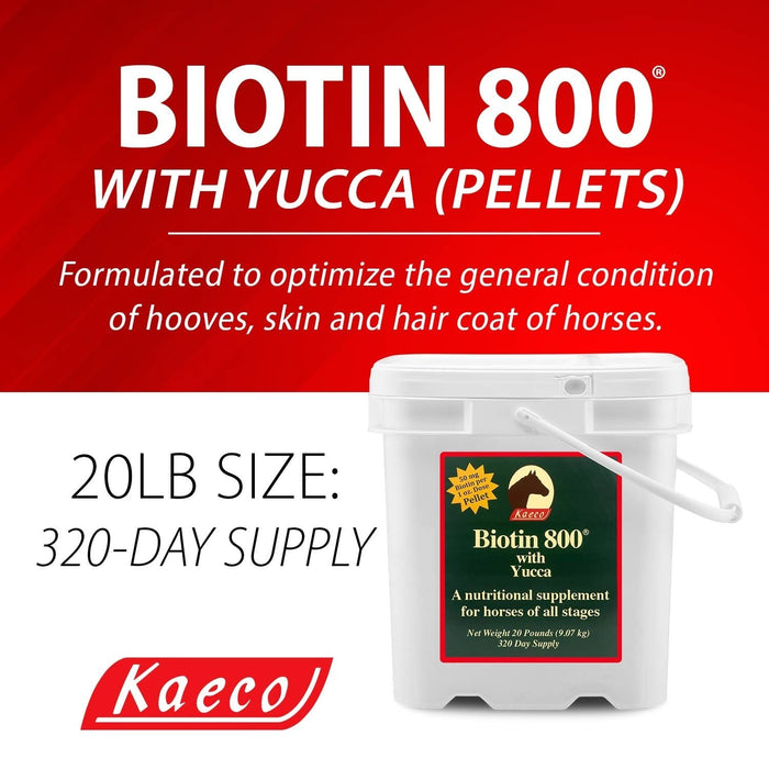 Biotin 800 Pellets - Jeffers - Animal Health & Wellness > Vitamins & Supplements