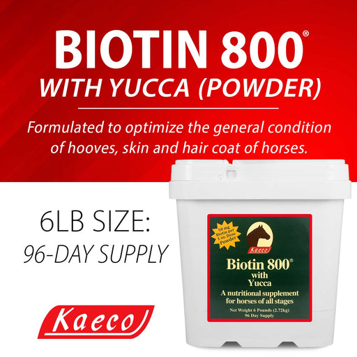 Biotin 800 Powder with Yucca - Jeffers - Animal Health & Wellness > Vitamins & Supplements