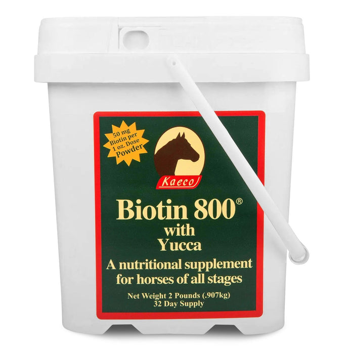 Biotin 800 Powder with Yucca - Jeffers - Animal Health & Wellness > Vitamins & Supplements