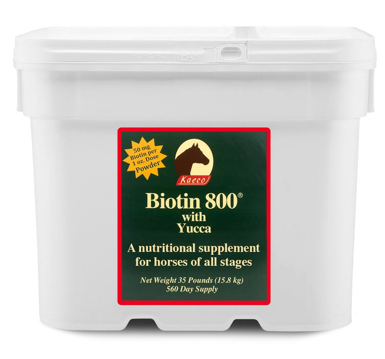 Biotin 800 Powder with Yucca - Jeffers - Animal Health & Wellness > Vitamins & Supplements