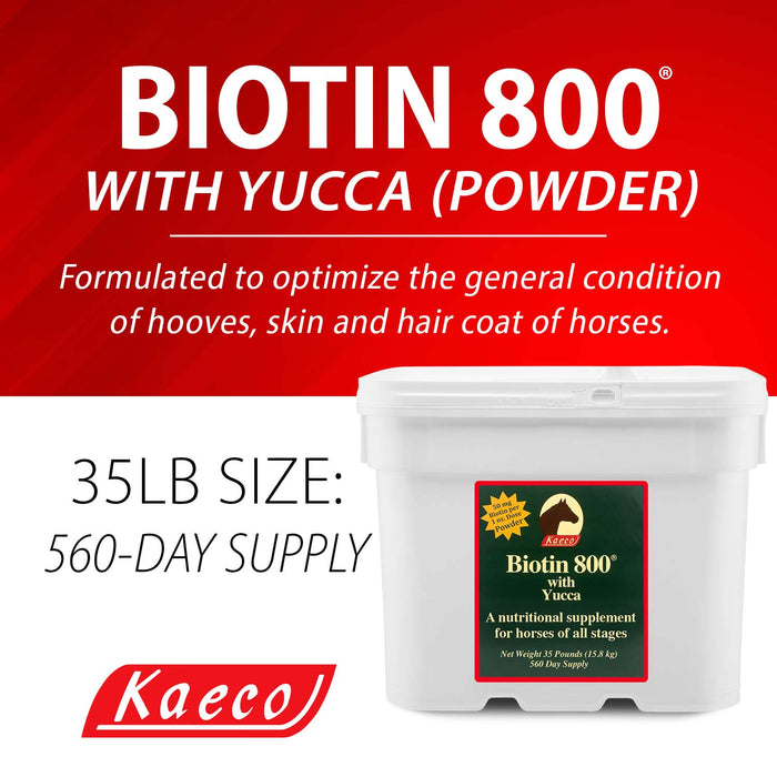 Biotin 800 Powder with Yucca - Jeffers - Animal Health & Wellness > Vitamins & Supplements