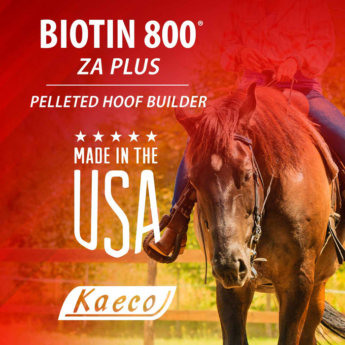 Biotin 800 ZA Plus - Jeffers - Animal Health & Wellness > Vitamins & Supplements