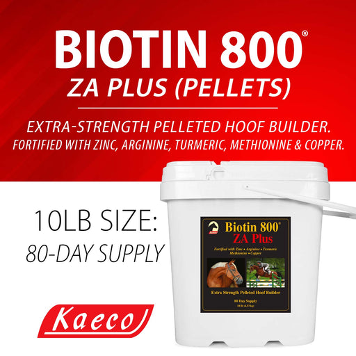 Biotin 800 ZA Plus - Jeffers - Animal Health & Wellness > Vitamins & Supplements