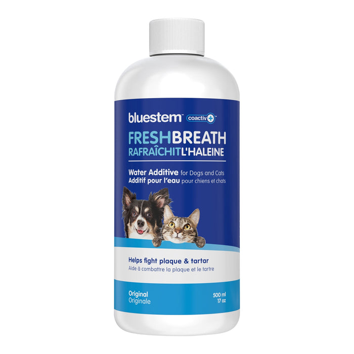 bluestem Water Additive for Dogs & Cats - Jeffers - Animal Health & Wellness > Oral Care