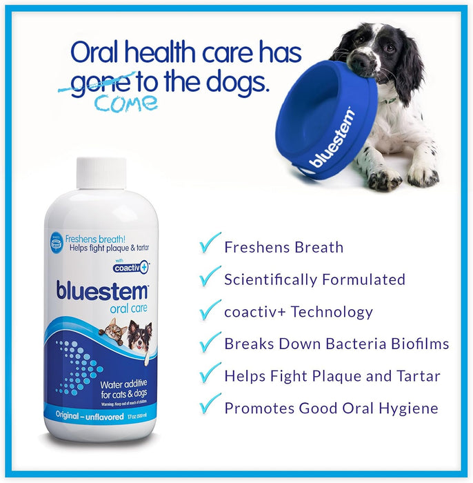 bluestem Water Additive for Dogs & Cats - Jeffers - Animal Health & Wellness > Oral Care