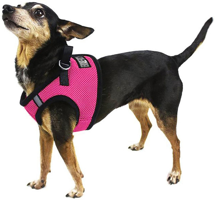 Boston Mesh Dog Harness - Jeffers - Dog Supplies > Dog Apparel > Dog Collars, Harnesses, & Leashes