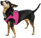 Boston Mesh Dog Harness, XX - Small - Jeffers - Dog Supplies > Dog Apparel