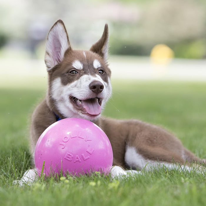 Bounce - N - Play Jolly Ball - Jeffers - Dog Supplies > Dog Toys