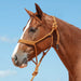 Braided Mule Tape Halter w/ 9' Lead - Jeffers - Horse Supplies > Horse Tack > Horse Halters