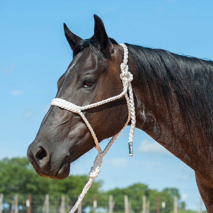 Braided Mule Tape Halter w/ 9' Lead - Jeffers - Horse Supplies > Horse Tack > Horse Halters