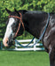 Braided Nylon Barrel Reins - Jeffers - Horse Supplies > Horse Tack