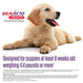 Bravecto Chews for Dogs, 1 Month - Jeffers - Animal Health & Wellness > Flea & Tick Control