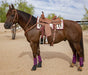 Buckstitch Harness Leather Breast Collar - Jeffers - Horse Supplies > Horse Tack > Breast Collars