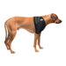 Caldera Pet Therapy Shoulder Wrap with Therapy Gel - Jeffers - Animal Health & Wellness > Medical Supplies