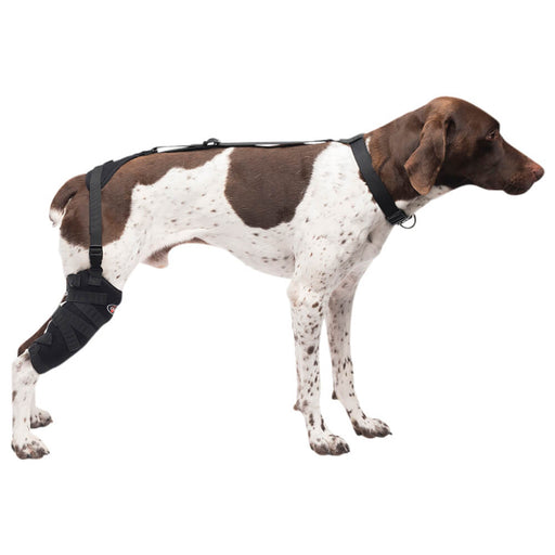 Caldera Pet Therapy Tall Stifle Wrap with Therapy Gel - Jeffers - Animal Health & Wellness > Medical Supplies