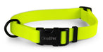 Carnival Collars - Jeffers - Dog Supplies > Dog Apparel > Dog Collars, Harnesses, & Leashes