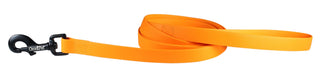 Carnival Leash - Jeffers - Dog Supplies > Dog Apparel > Dog Collars, Harnesses, & Leashes