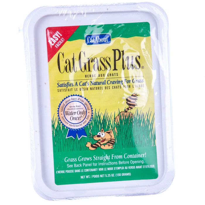 Cat Grass Plus - Jeffers - Cat Supplies > Cat Treats