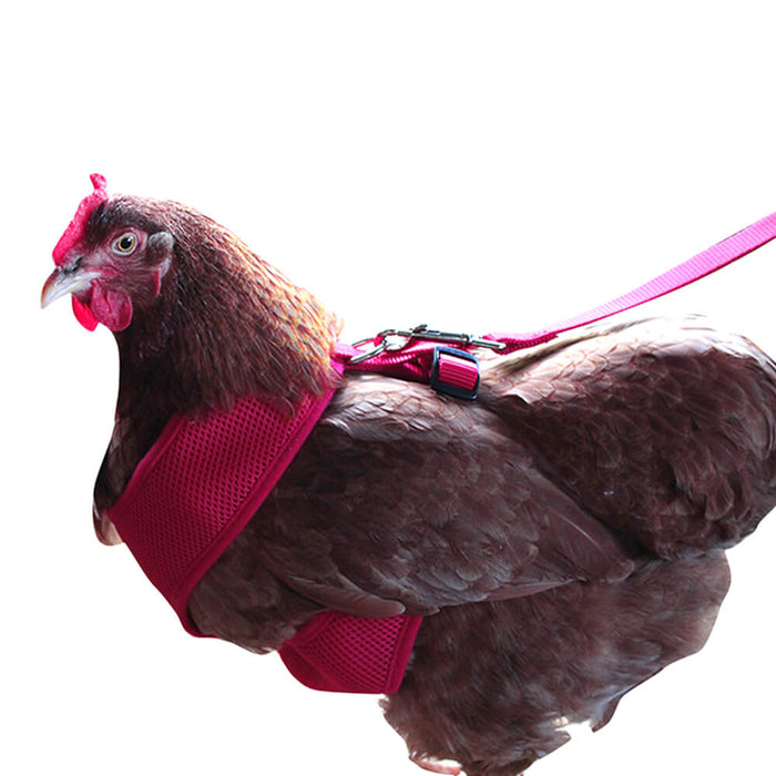 Chicken Mesh Harness, Small, Red - Jeffers - Poultry Supplies > Poultry Supplies