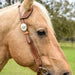 Circle Y Dawson One Ear Headstall, Full - Jeffers - Horse Supplies > Horse Tack > Bridles & Headstalls