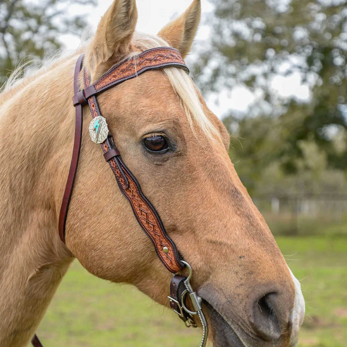 Circle Y Montana Browband Headstall, Full - Jeffers - Horse Supplies > Horse Tack > Bridles & Headstalls