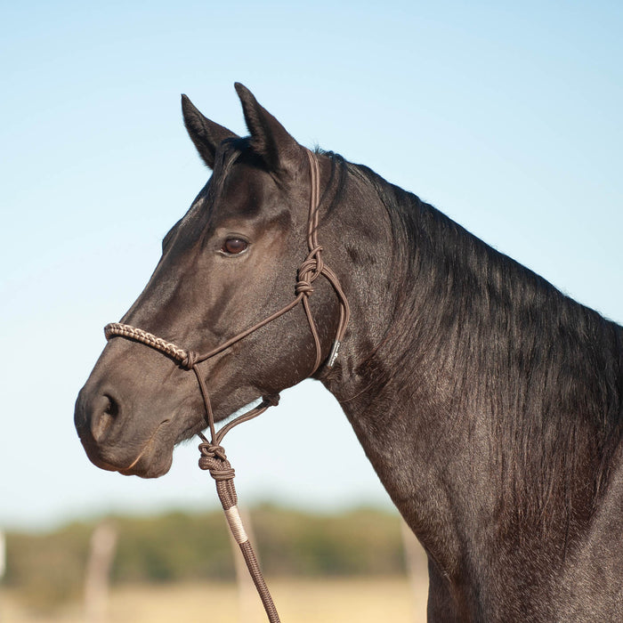 Classic Equine 3 - Tone Rope Halter with 8' Lead Rope - Jeffers - Horse Supplies > Horse Tack > Horse Halters