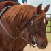 Classic Equine Copper Dot Browband Headstall - Jeffers - Horse Supplies > Horse Tack > Bridles & Headstalls