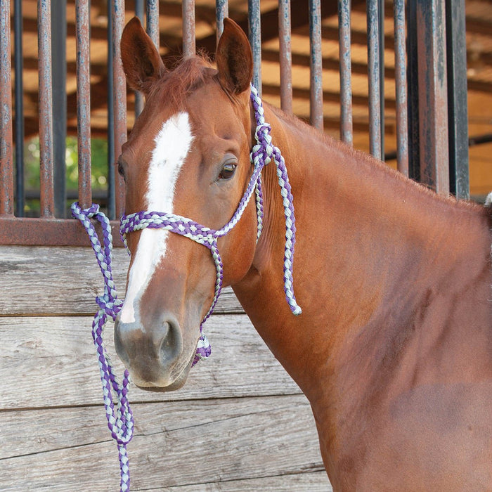 Classic Equine Flat Braid Halter with Lead Rope - Jeffers - Horse Supplies > Horse Tack > Horse Halters