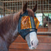 Classic Equine Restoration Equine Mask - Jeffers - Horse Supplies > Horse Supplies