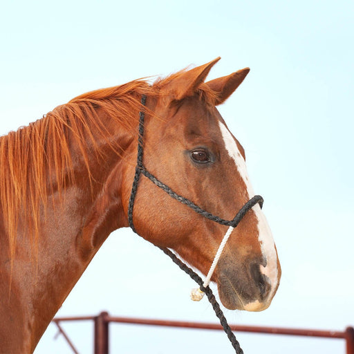 Classic Lariat Rope Nose Halter w/Lead - Jeffers - Horse Supplies > Horse Tack > Horse Halters