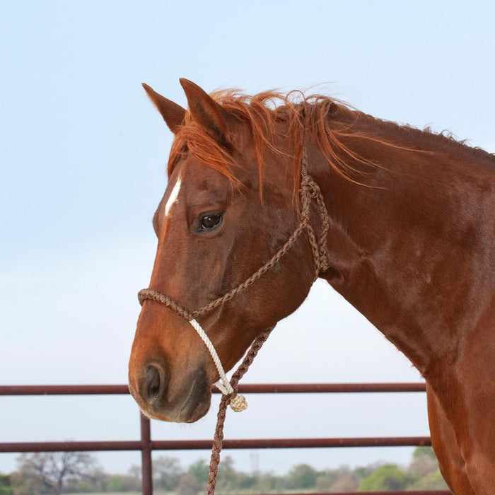 Classic Lariat Rope Nose Halter w/Lead - Jeffers - Horse Supplies > Horse Tack > Horse Halters