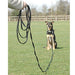 CLIX Long Line - Jeffers - Animal & Pet Supplies > Pet Training Aids