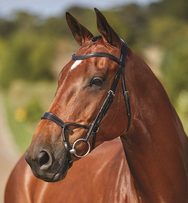 Collegiate ComFITec Training Bridle - Jeffers - Horse Supplies > Horse Tack > Bridles & Headstalls