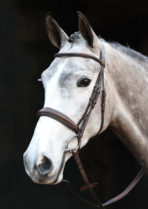 Collegiate Mono Crown Padded Raised Cavesson Bridle - Jeffers - Horse Supplies > Horse Tack > Bridles & Headstalls