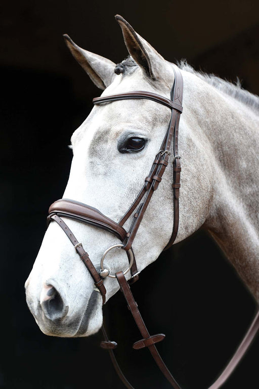 Collegiate Mono Crown Padded Raised Flash Bridle - Jeffers - Horse Supplies > Horse Tack > Bridles & Headstalls