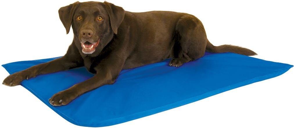 Cool Bed III - Jeffers - Dog Supplies > Dog Beds