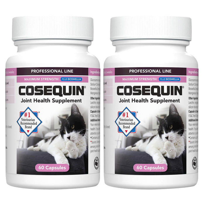 Cosequin Professional for Cats, 60 ct Capsules - Jeffers - Animal Health & Wellness > Joint Health