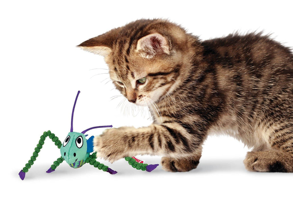 Crackles Grasshopper - Jeffers - Cat Supplies > Cat Toys