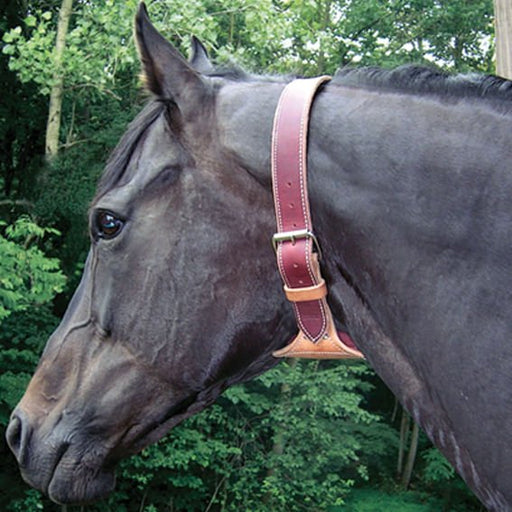 Dare Cribbing Control Collar - Jeffers - Horse Supplies > Horse Supplies