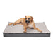 Deluxe Orthopedic Mattress Dog Bed, Quilt Top Convertible Indoor/Outdoor - Jeffers - Dog Supplies > Dog Beds