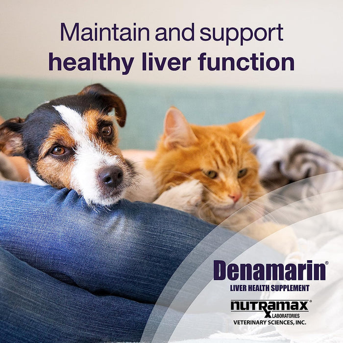 Denamarin Liver Health Stabilized Tablets - Jeffers - Animal Health & Wellness > Vitamins & Supplements